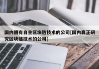 国内拥有自主区块链技术的公司[国内真正研究区块链技术的公司]